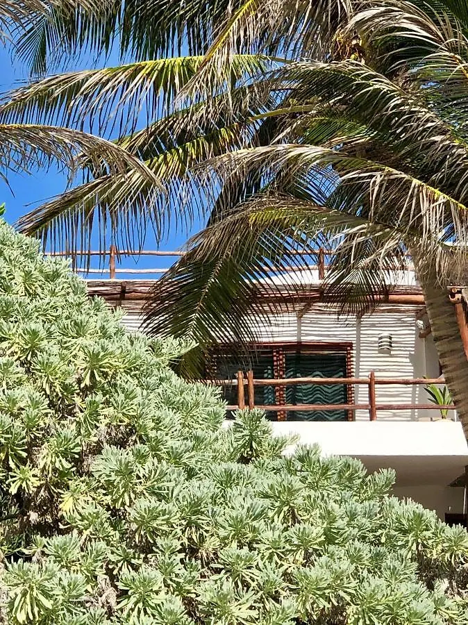 Casa Carolina Tulum Vila 0*,  México