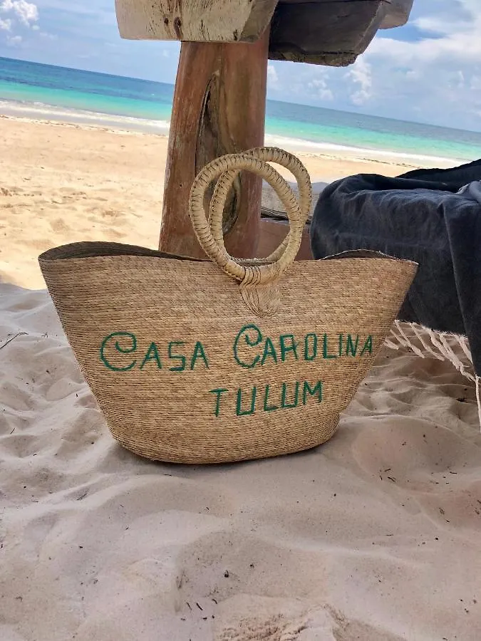 Casa Carolina Tulum Vila Villa