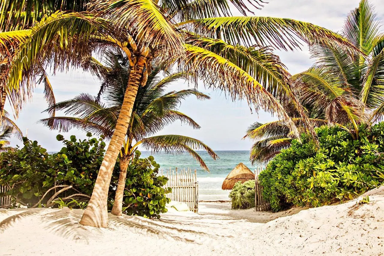 Villa Casa Carolina Tulum Vila