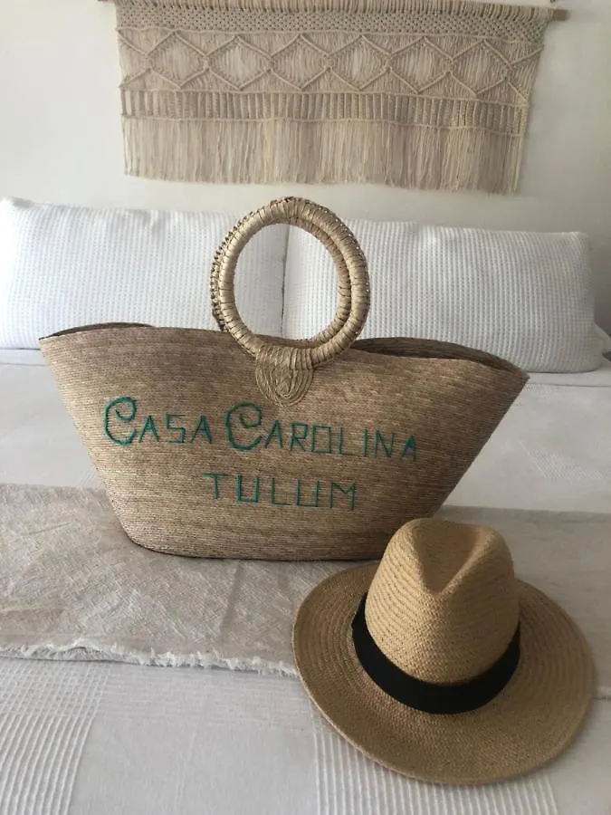 Casa Carolina Tulum Vila Villa