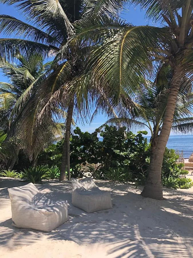 Casa Carolina Tulum Vila Villa