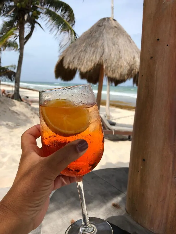 Casa Carolina Tulum Vila México
